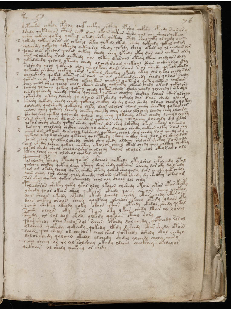 The Voynich Manuscript: A language no one understands 3 1