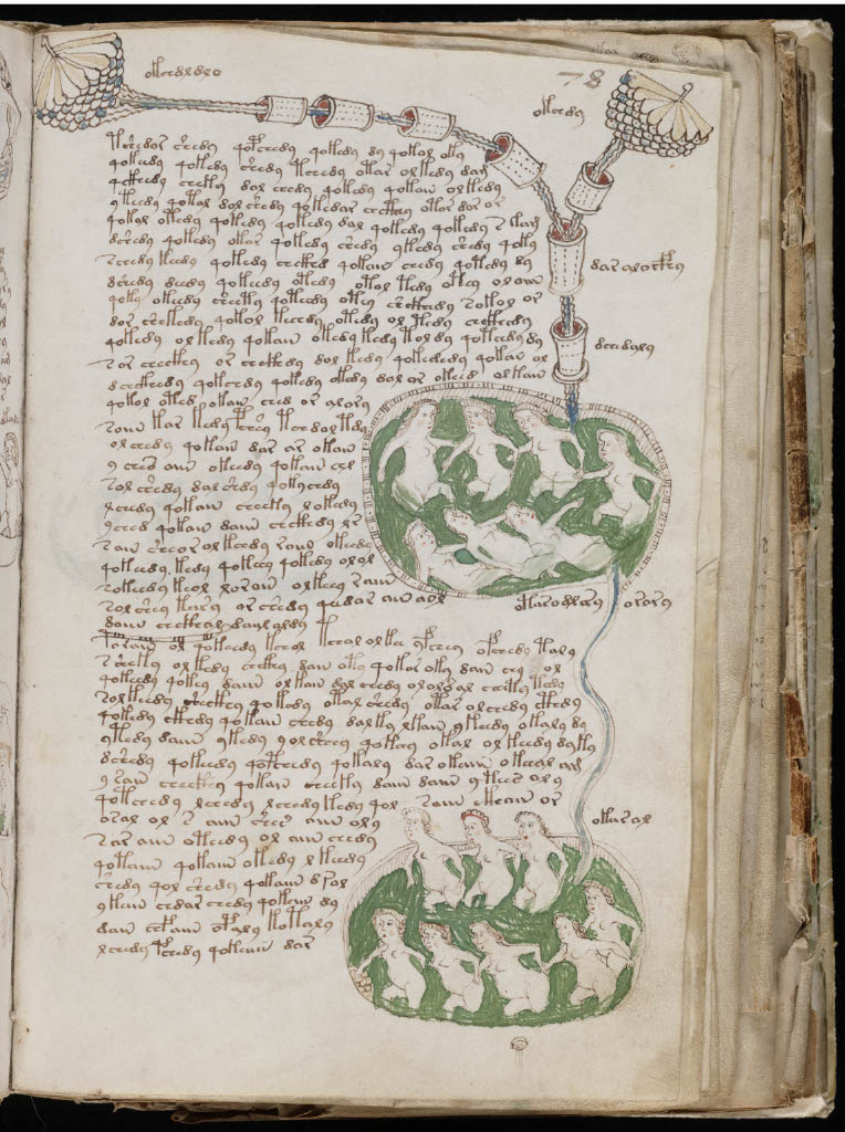 The Voynich Manuscript: A language no one understands 4 2