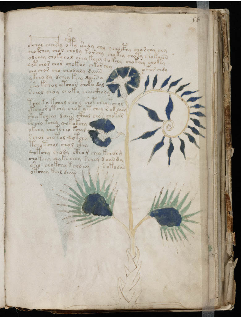The Voynich Manuscript: A language no one understands 5 3