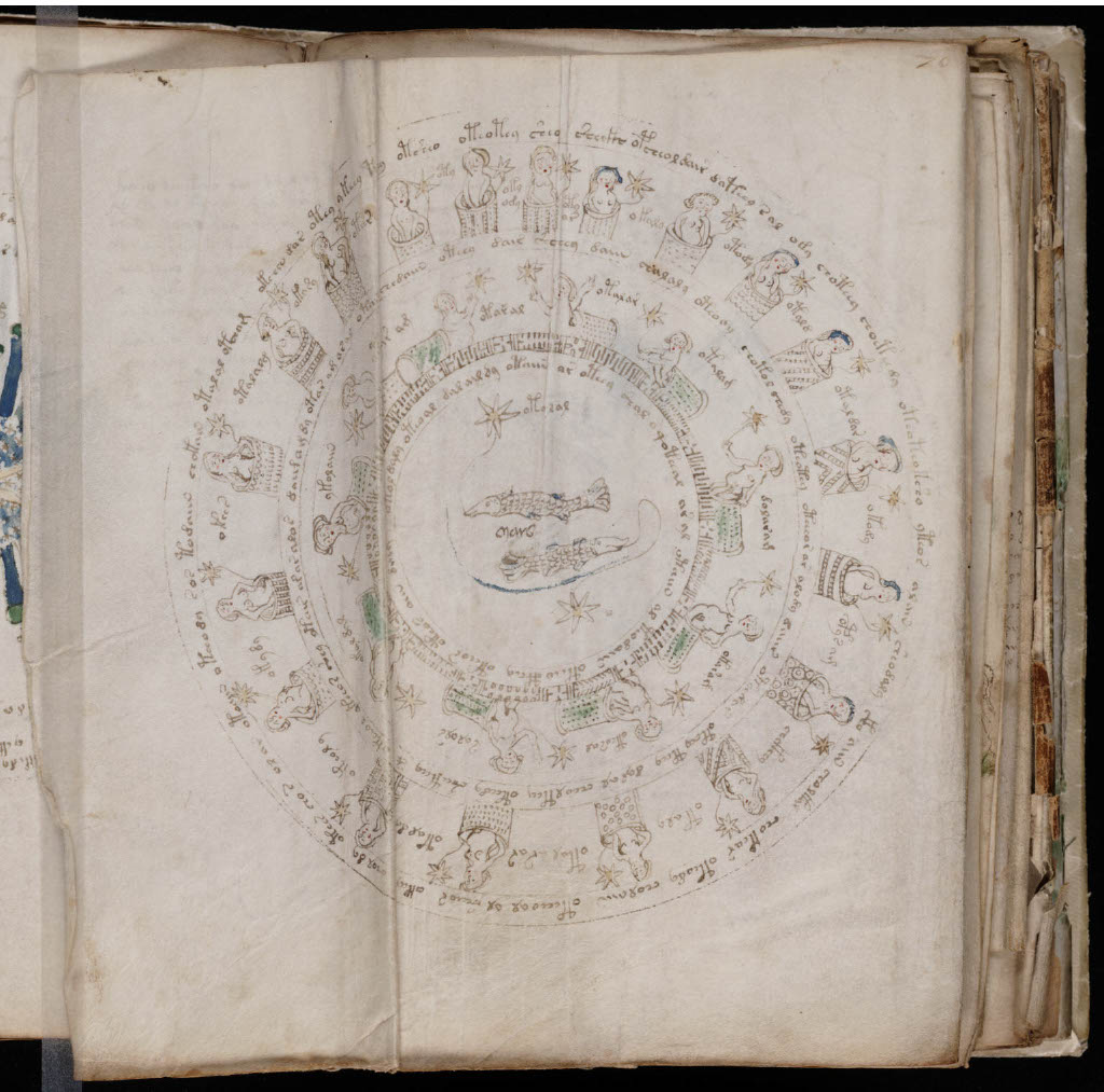 The Voynich Manuscript: A language no one understands 6 4